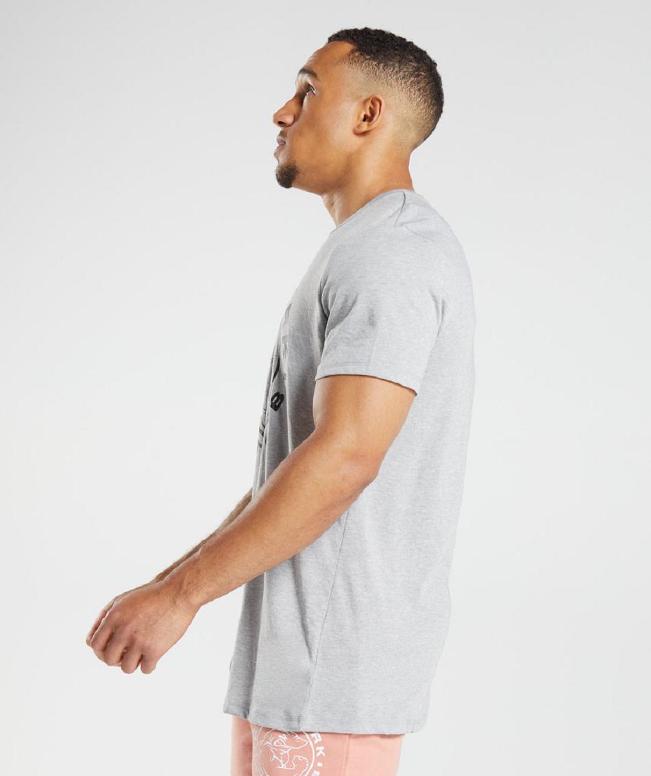 Gymshark Legacy Muške T Shirts Svijetlo Sive | HR 2390DFM